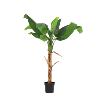 Planta de plátano artificial Musa de 80 a 190 cm