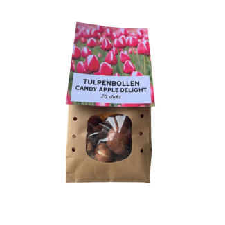 El regalo holandés: 20 bulbos de tulipanes Candy Apple Delight, bulbos de flores