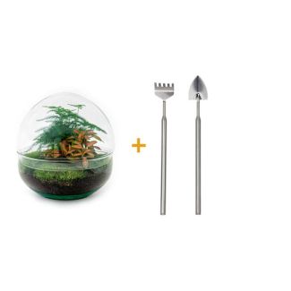 Terrario de plantas de bricolaje - Dome Rojo - Altura 20 cm - Incluye rastrillo, pala