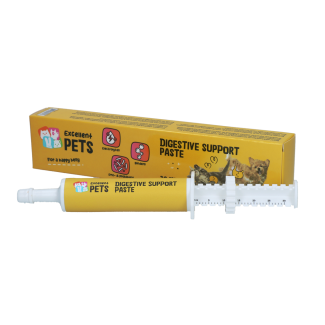 Pasta de apoyo digestivo 30 ml