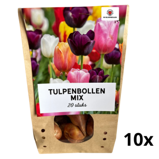 200 piezas Mezcla de Tulipanes – 20 Bulbos en 10 Bolsas – Colorida Floración Primaveral
