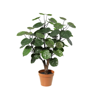 Polyscias Fabian artificial de 55 cm