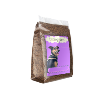 Super Premium Excellent – Alimentación Canina Prensada de Alta Calidad para una Salud Óptima
