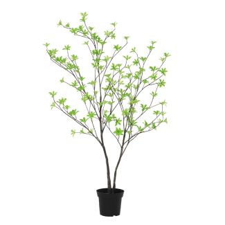 Tropaeolum artificial 110 - 130 cm
