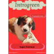 Hondenvoer rijk aan eiwitten en gezonde vetten voor opgroeiende honden