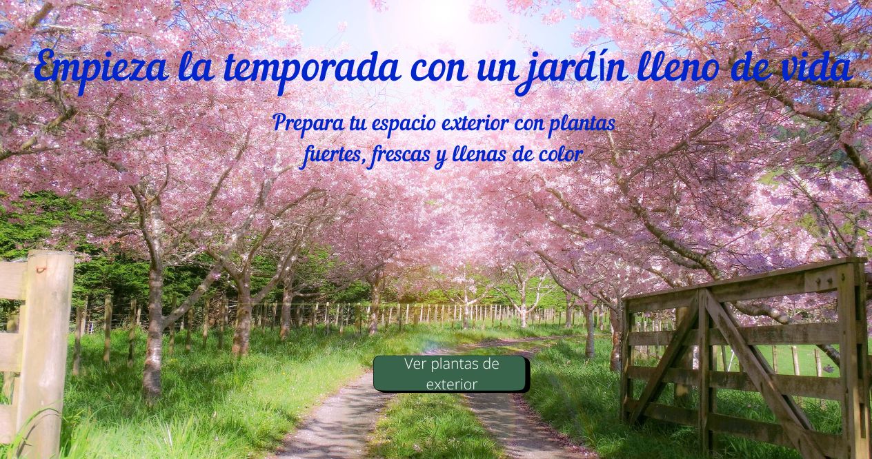 Plantas de jardín